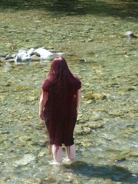 Bild
