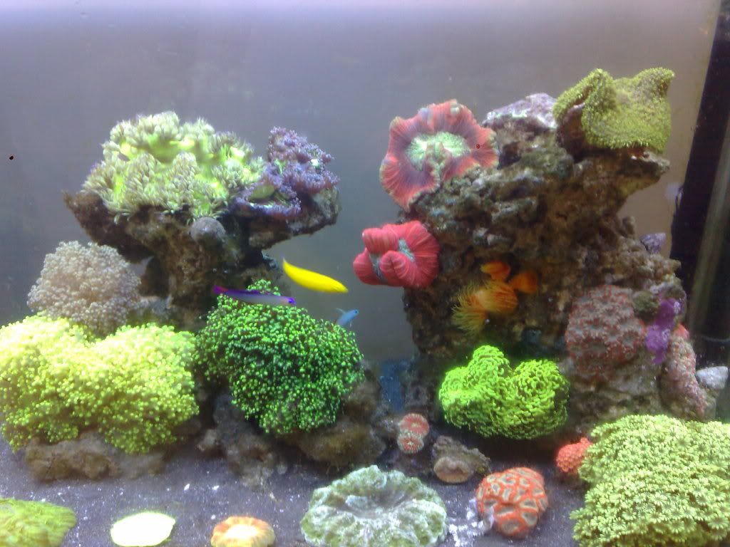 010120112708.jpg
