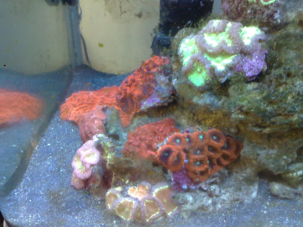 010120112710.jpg