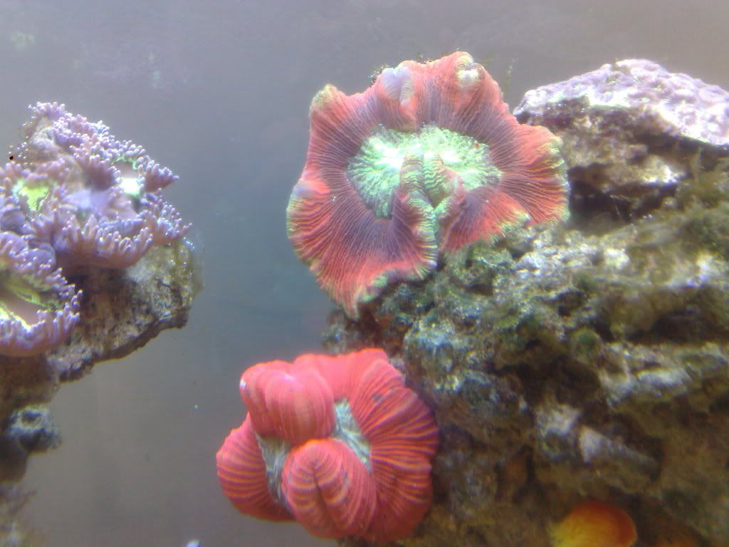 010120112713.jpg