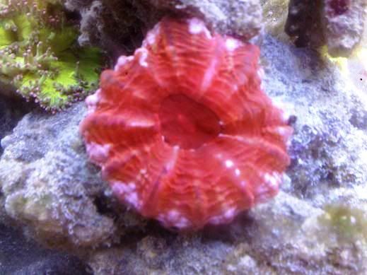 111220102616.jpg