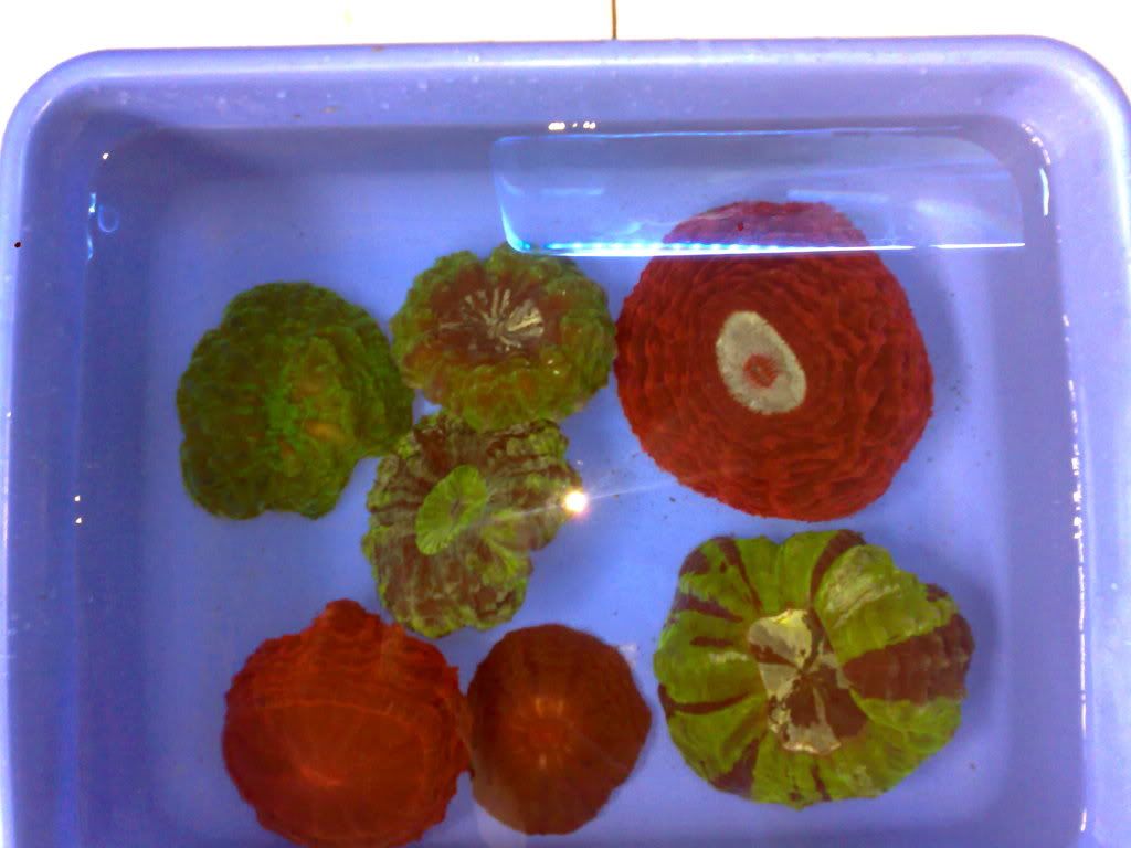 200220112775.jpg