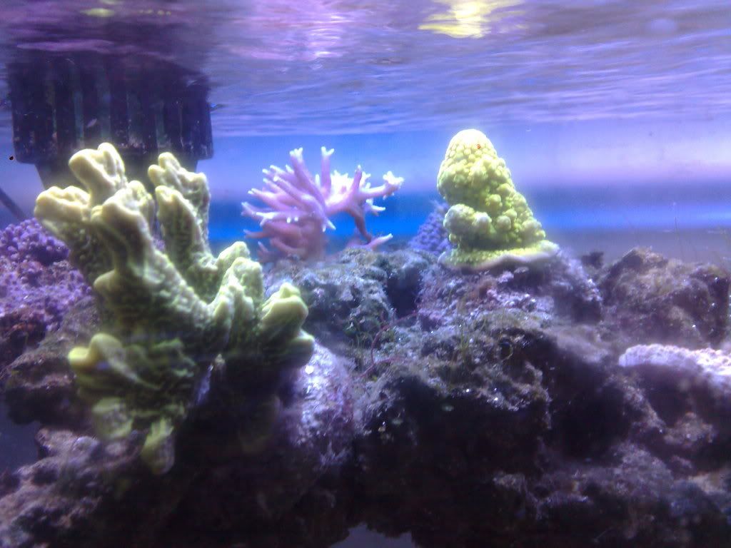 210220112778.jpg