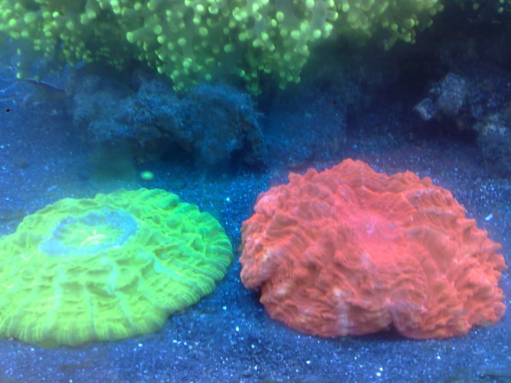 231220102654.jpg