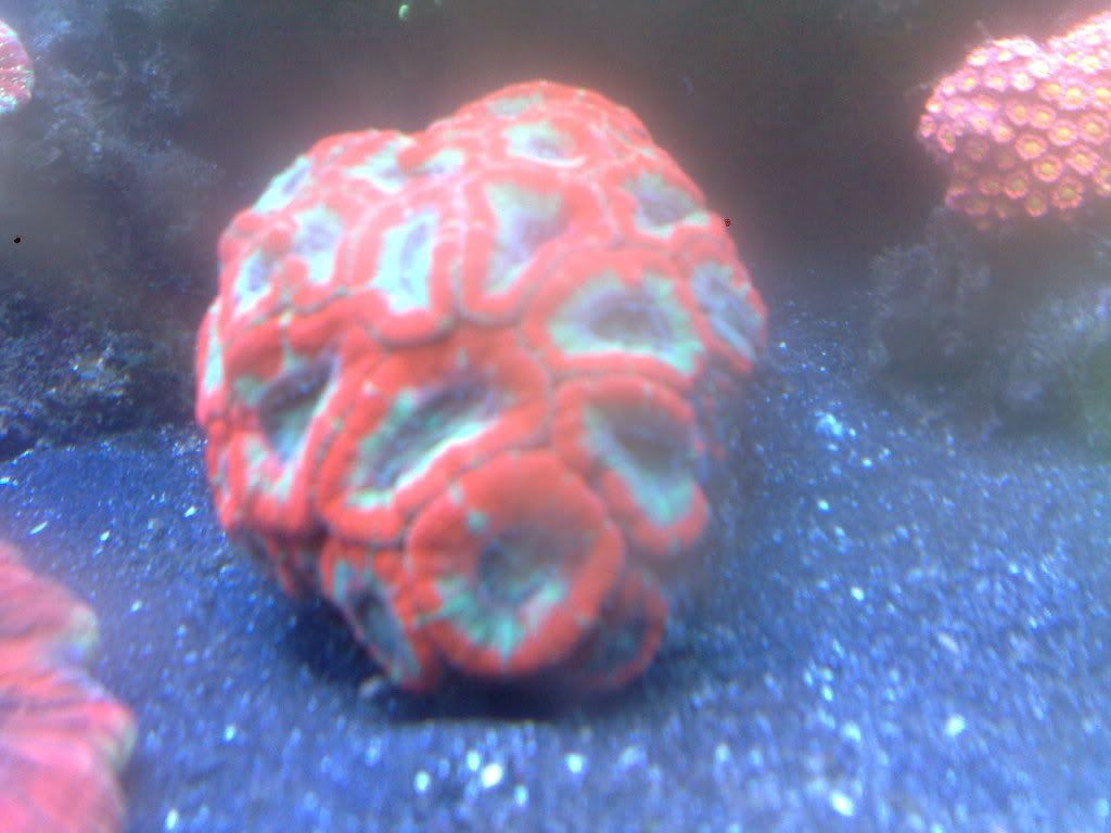 231220102656.jpg