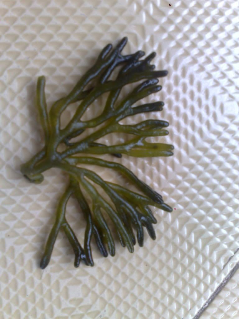 261220102669.jpg