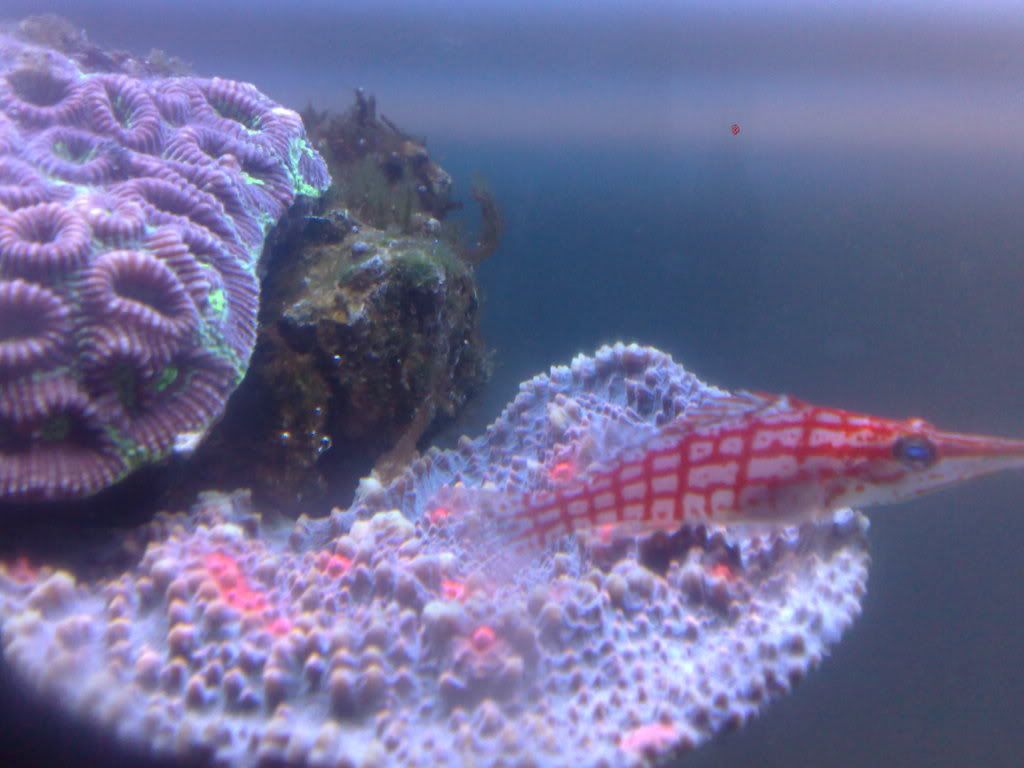 271220102674.jpg