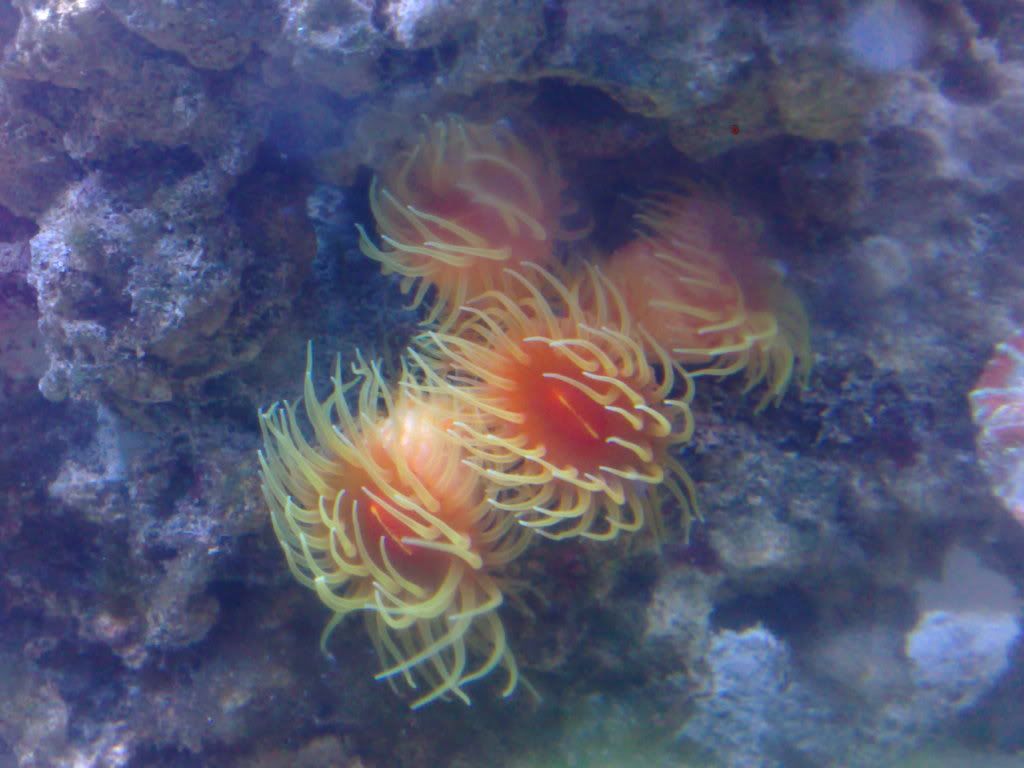 271220102676.jpg