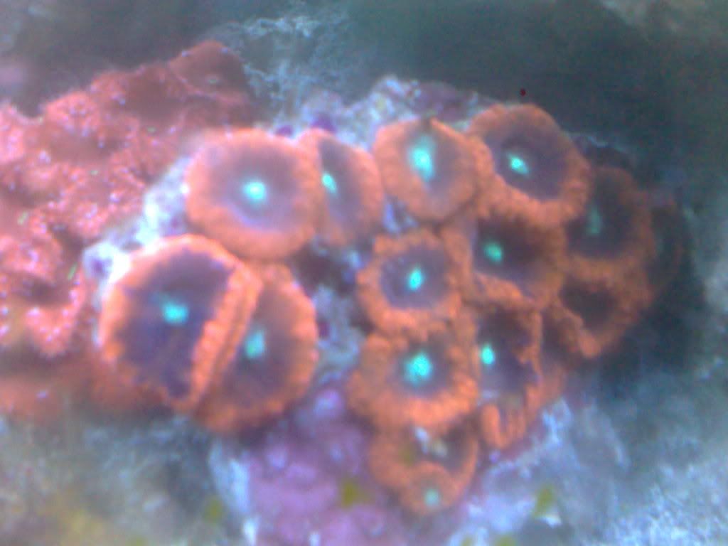271220102677.jpg