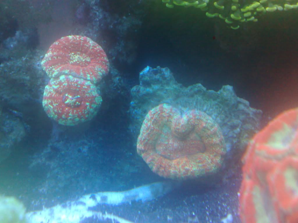 271220102685.jpg