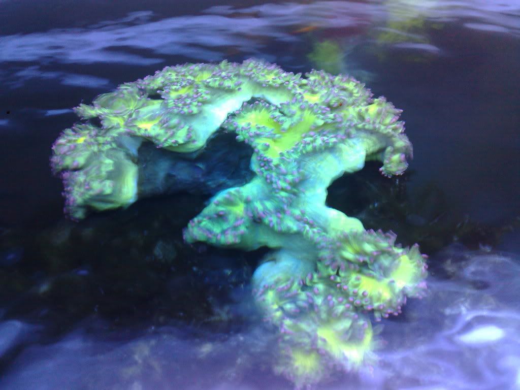 291220102695.jpg
