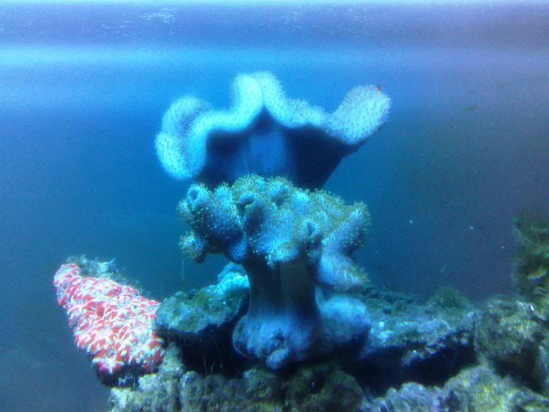 300120112737.jpg