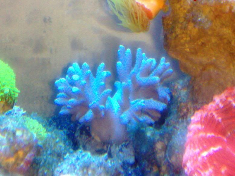 300120112738.jpg