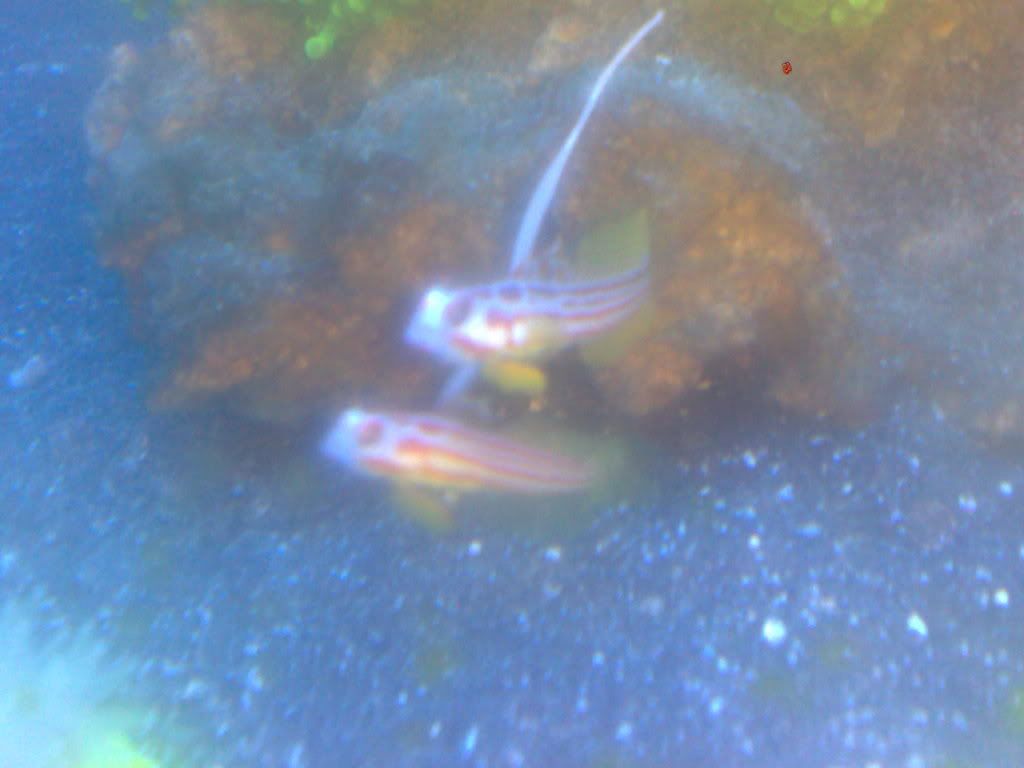 311220102698.jpg