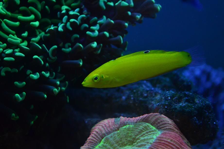 DSC_1153-1.jpg