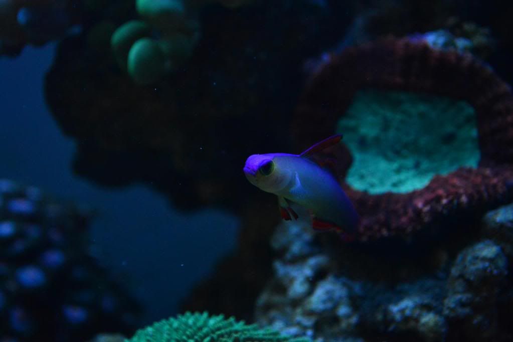DSC_1154.jpg