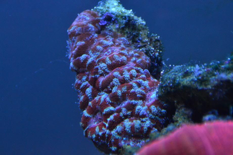 DSC_1263-1.jpg