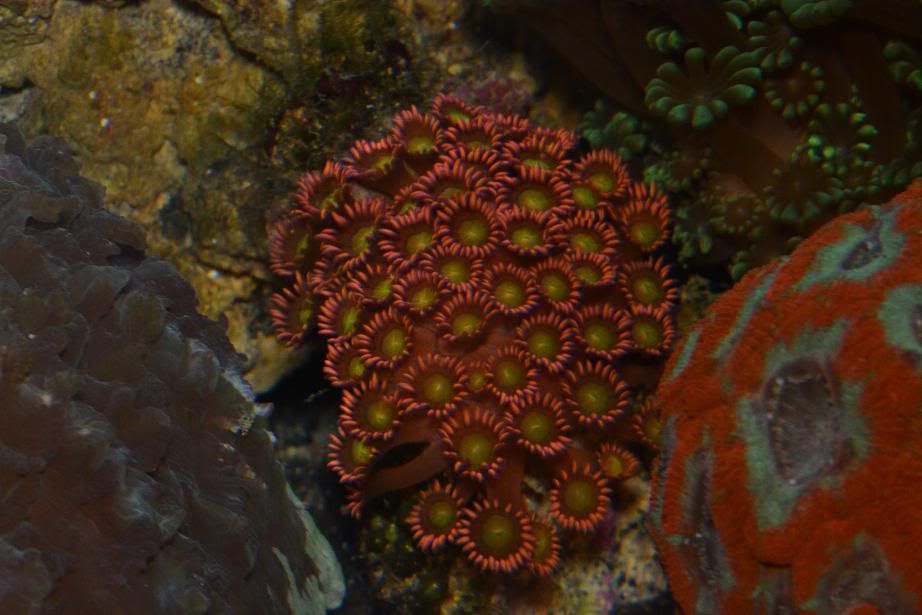DSC_1285.jpg