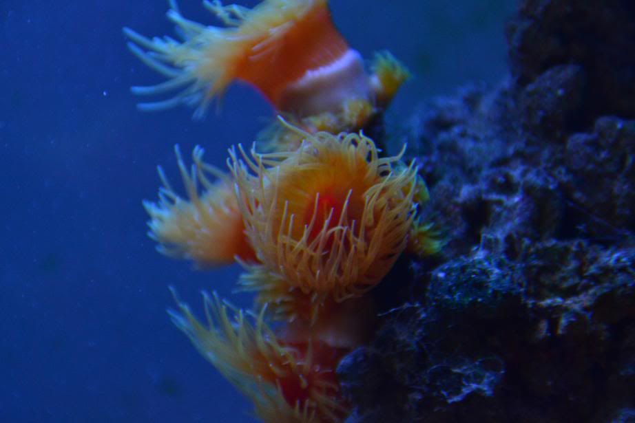 DSC_1344-1.jpg
