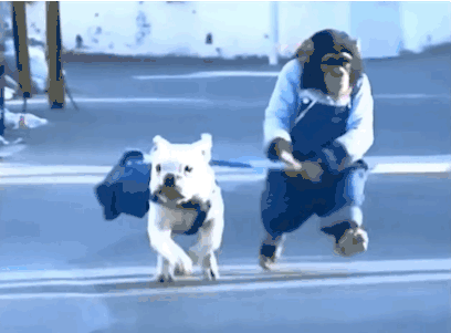 http://i570.photobucket.com/albums/ss142/dragon4uin/Mobile%20Uploads/running-with-dog_zpskeelykpz.gif