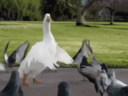 http://i570.photobucket.com/albums/ss142/dragon4uin/Mobile%20Uploads/tX0qwir_zpswipim3dp.gif