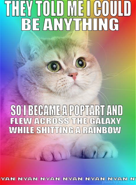 Nyan Cat Live Pictures, Images and Photos