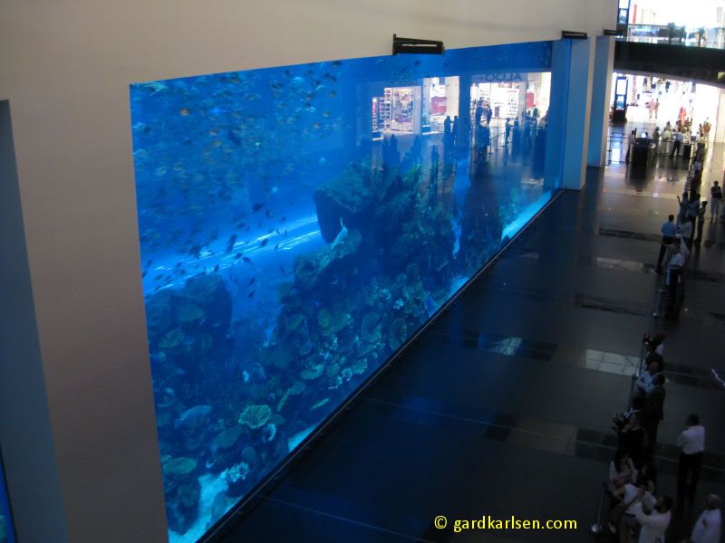 dubai mall ski. Aquarium at Dubai Mall