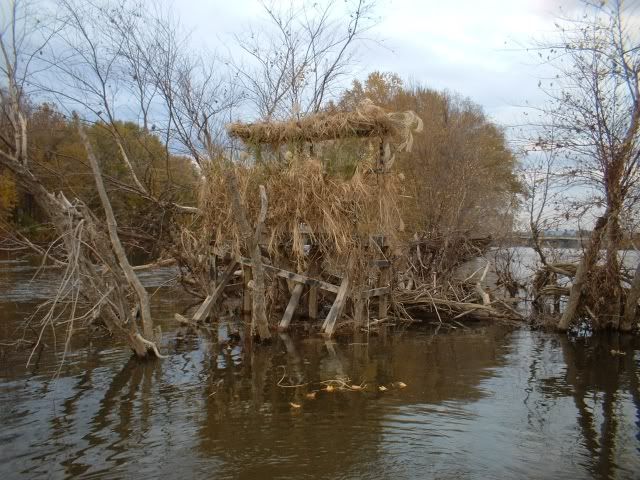 wildfowler outfitter goose recliner blind