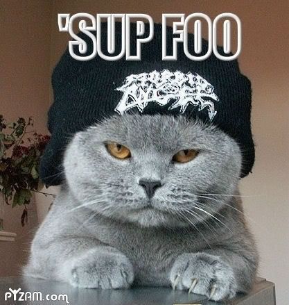 Sup Foo