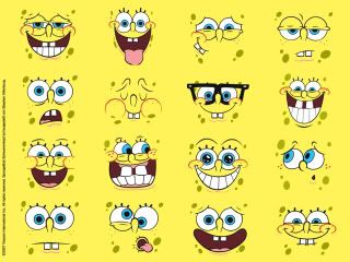 spong1 Pictures, Images and Photos