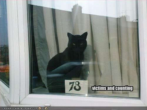 78victimkitteh.jpg