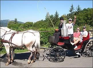 horsedrawncarriagecup.jpg