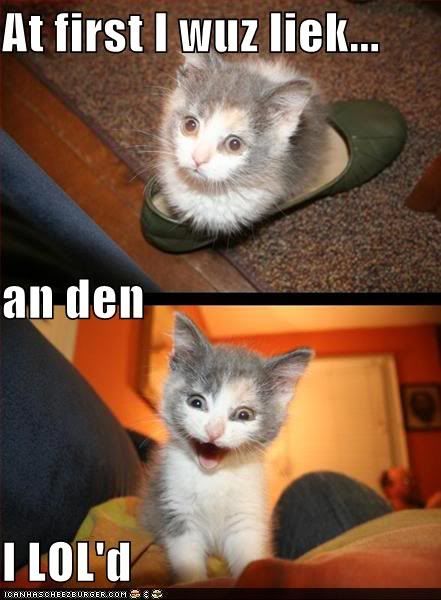 kitteh.jpg