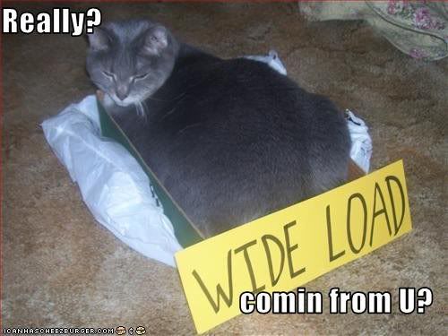 wideloadkitteh.jpg