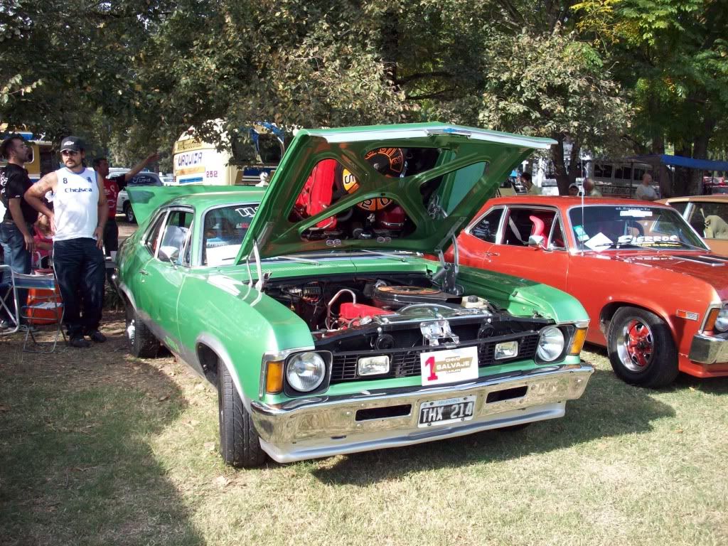 expo expo