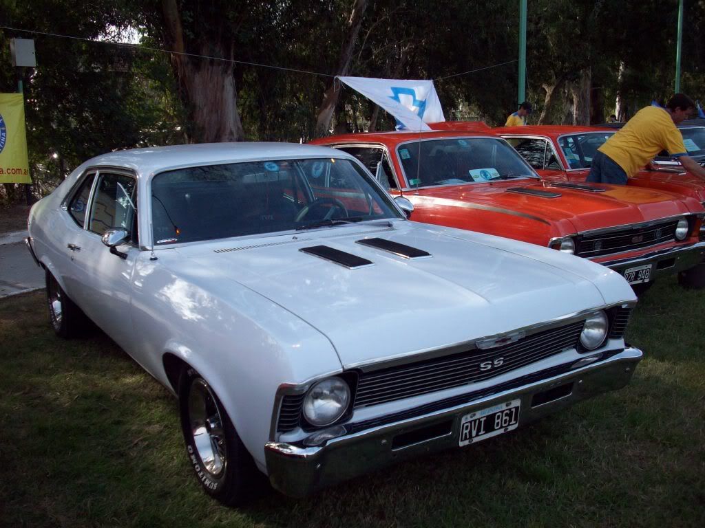 americanos americanos