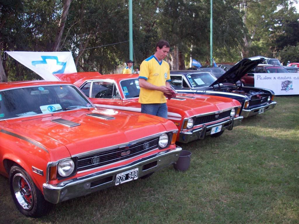 expo expo