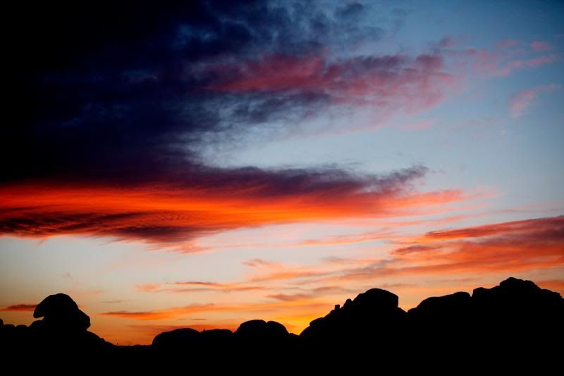  photo JoshuaTree_05042013_0039_blog_zps1f5f3402.jpg