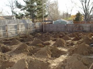 photo DSC01255-2.jpg