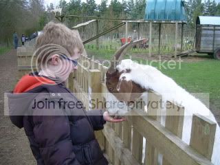 Farm016.jpg