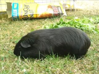Photo014.jpg